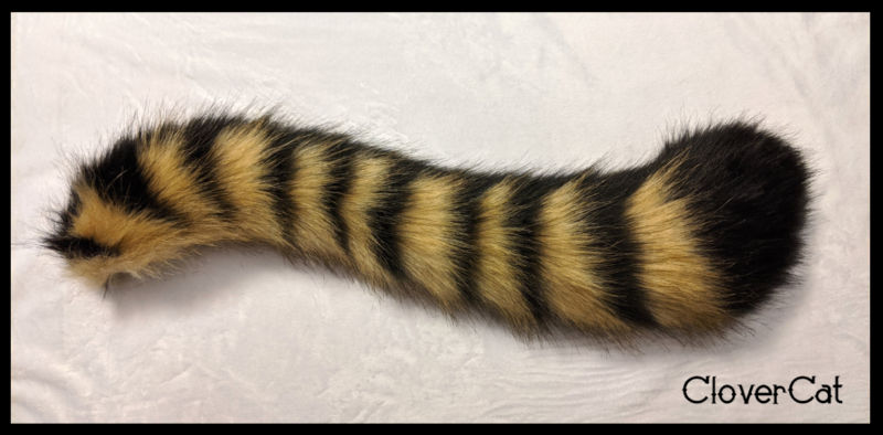 Tail: Brown, Black