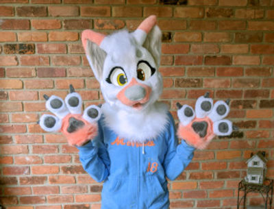 Terms of Service picture 2